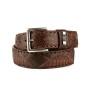 ✅ Belt 1020 in Castana Python | MAYURA BOOTS